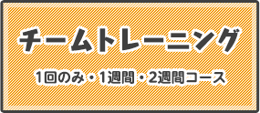チームトレーニング 1回のみ・1週間・2週間コース