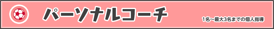 パーソナルコーチ 1名～最大3名までの個人指導